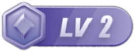 LV2 等级-LV2-电子书公社