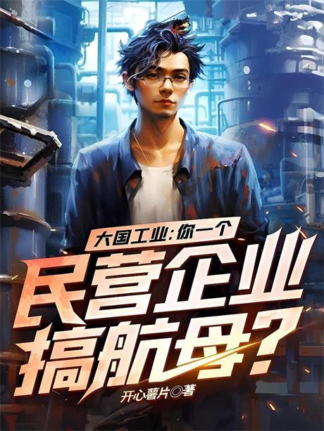 大国工业：你一个民营企业搞航母？-电子书公社