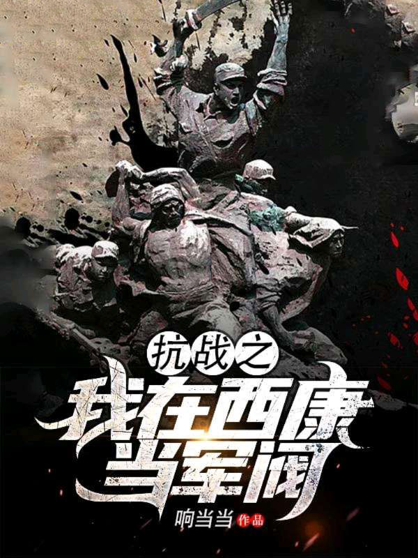 抗战之我在西康当军阀-电子书公社