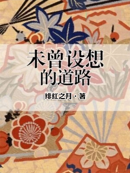 未曾设想的道路-电子书公社