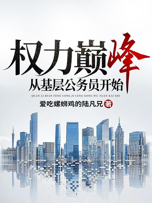 权力巅峰：从基层公务员开始-电子书公社