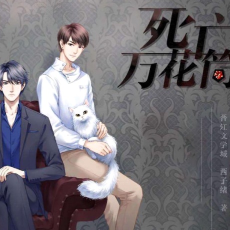 死亡万花筒-电子书公社