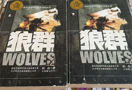 狼群-电子书公社