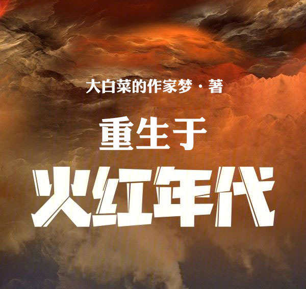 重生于火红年代-电子书公社
