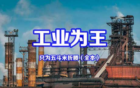 工业为王-电子书公社