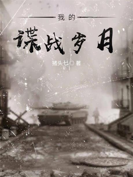 我的谍战岁月-电子书公社