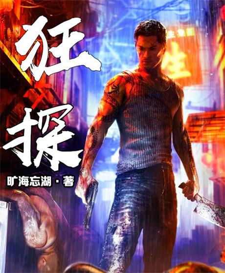 狂探-电子书公社