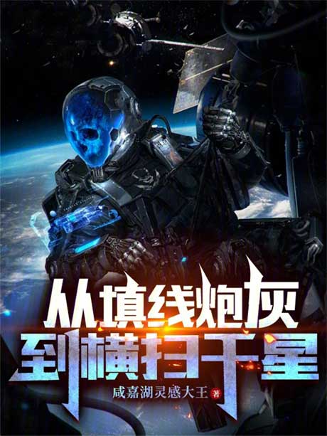 从填线炮灰到横扫千星-电子书公社