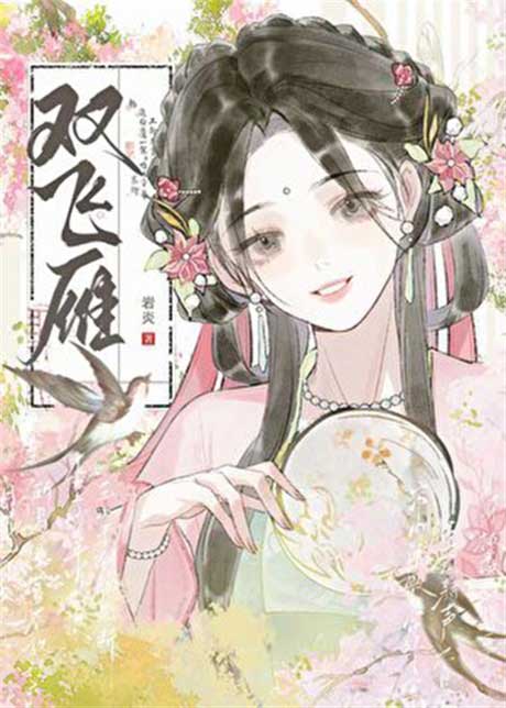 双飞雁-电子书公社