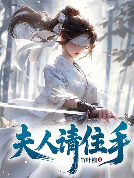 夫人请住手-电子书公社