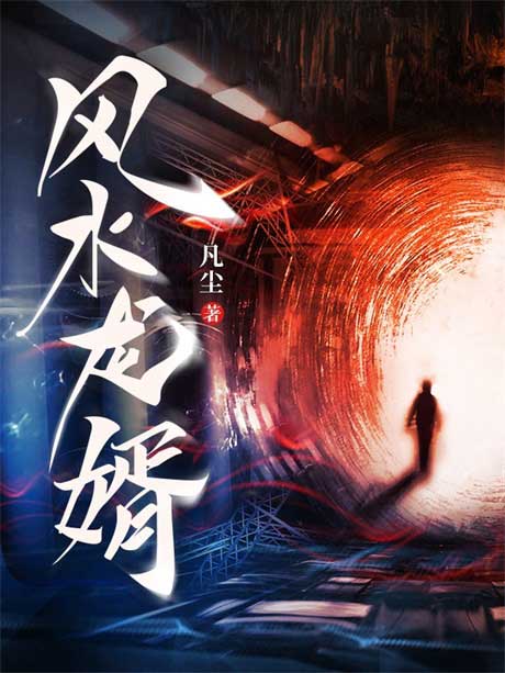 风水龙婿-电子书公社