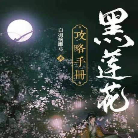 黑莲花攻略手册-电子书公社