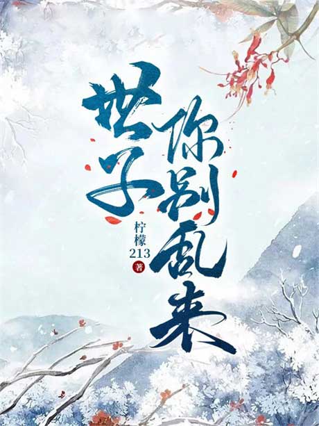 世子你别乱来-电子书公社