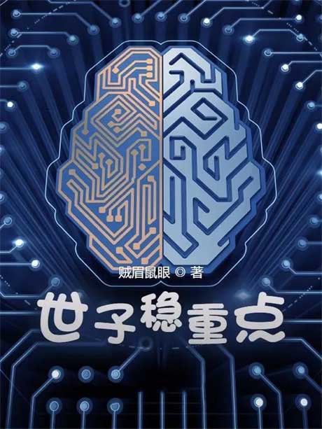 世子稳重点-电子书公社