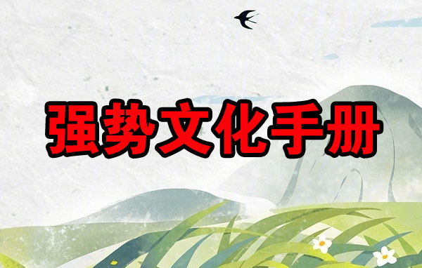 强势文化手册-电子书公社