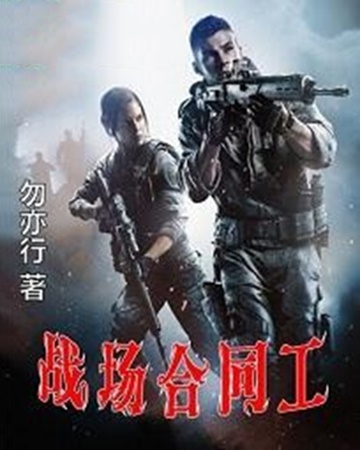 战场合同工-电子书公社