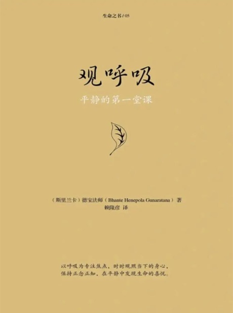 观呼吸：平静的第一堂课-电子书公社