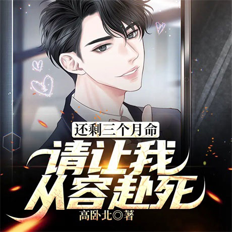 还剩三个月命，请让我从容赴死-电子书公社