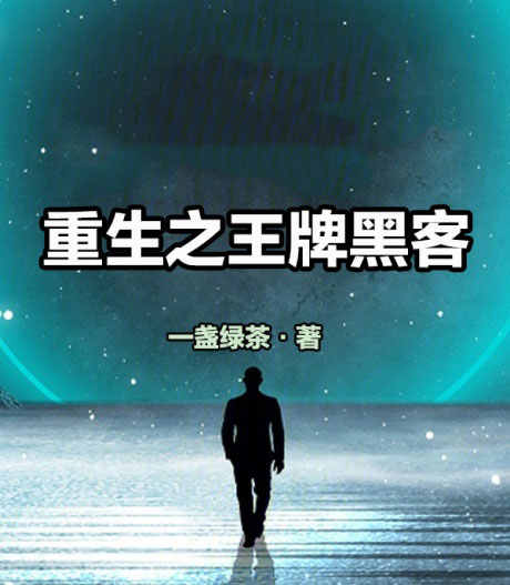 重生之王牌黑客-电子书公社