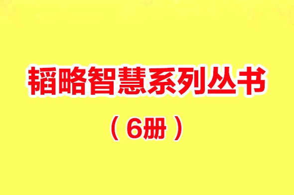 韬略智慧系列丛书（6册）-电子书公社