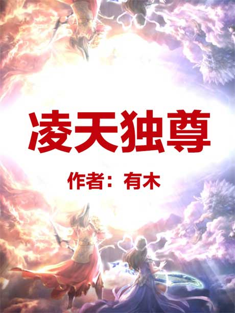 凌天独尊-电子书公社