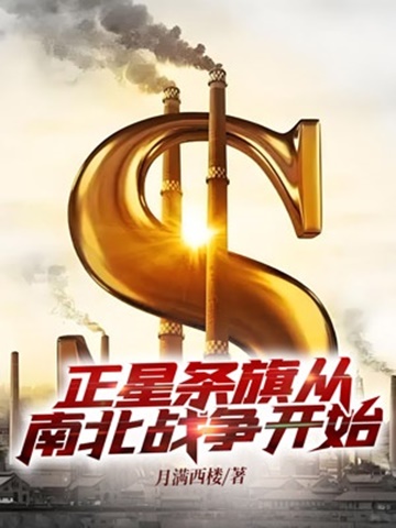 正星条旗从南北战争开始-电子书公社