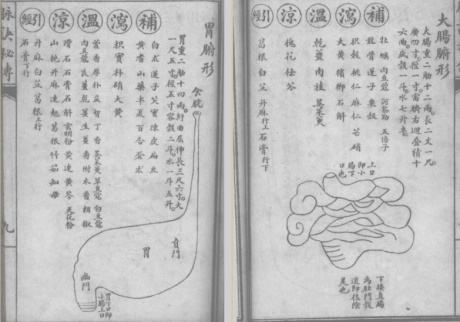 脉诀秘诀-电子书公社