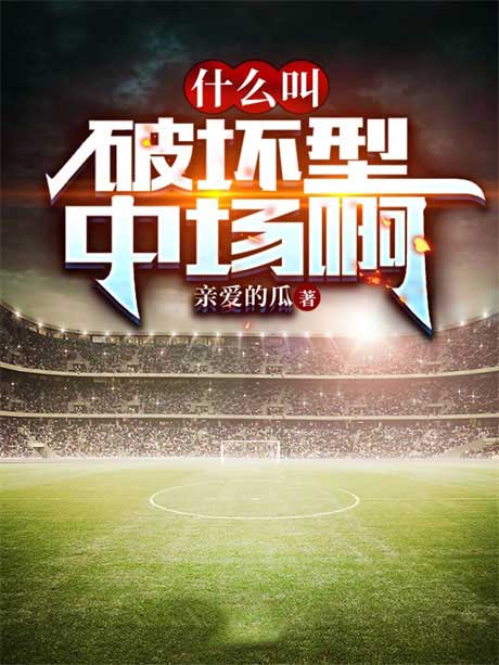 什么叫破坏型中场啊-电子书公社