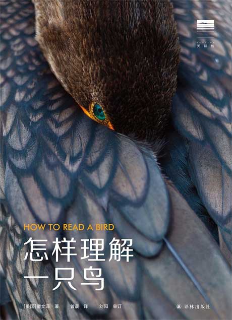 怎样理解一只鸟-电子书公社