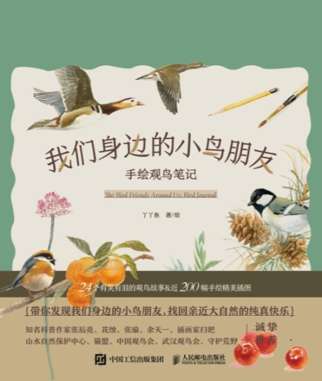 我们身边的小鸟朋友：手绘观鸟笔记-电子书公社
