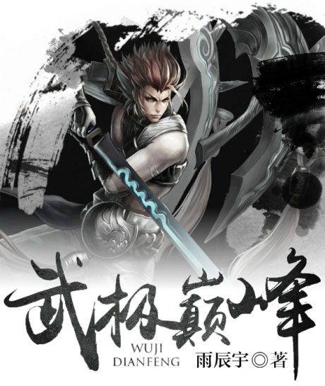 武极巅峰-电子书公社