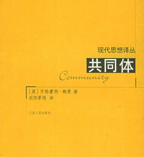 共同体：在一个不确定的世界中寻找安全-电子书公社