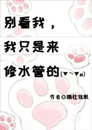 别看我，我只是来修水管的！-电子书公社