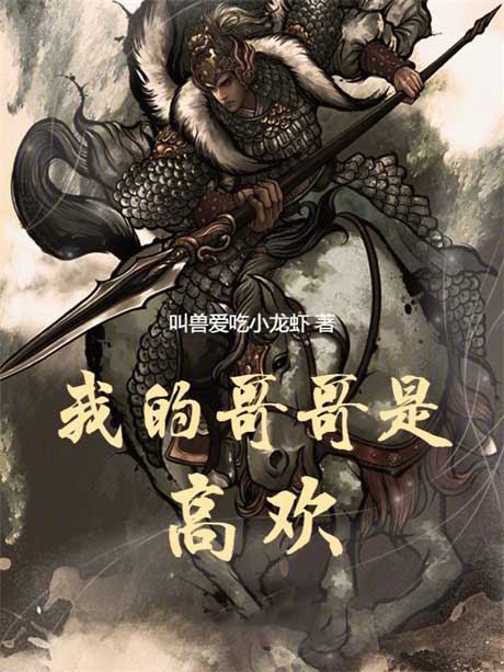 我的哥哥是高欢-电子书公社