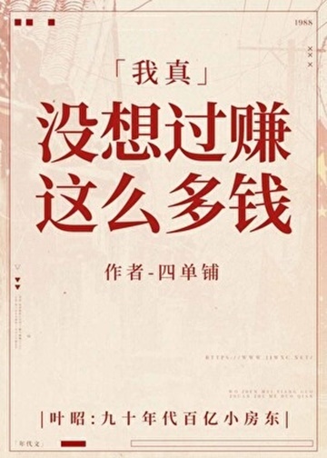 我真没想过赚这么多钱-电子书公社