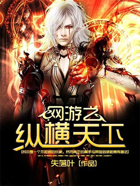 网游之纵横天下-电子书公社