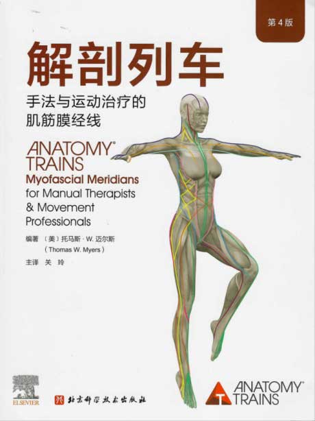 解剖列车：手法与运动治疗的肌筋膜经线（第4版）-电子书公社