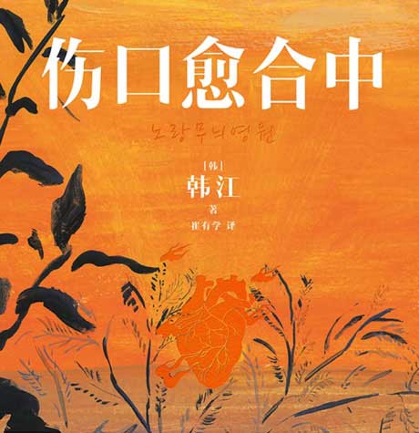 伤口愈合中-电子书公社