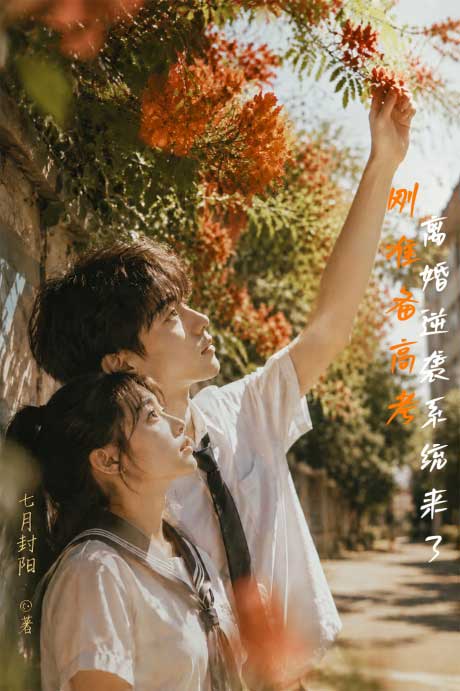刚准备高考，离婚逆袭系统来了-电子书公社
