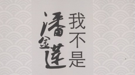 我不是潘金莲-电子书公社