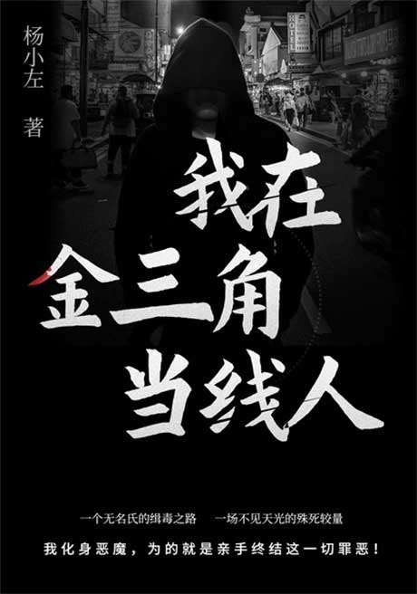 我在金三角当线人-电子书公社