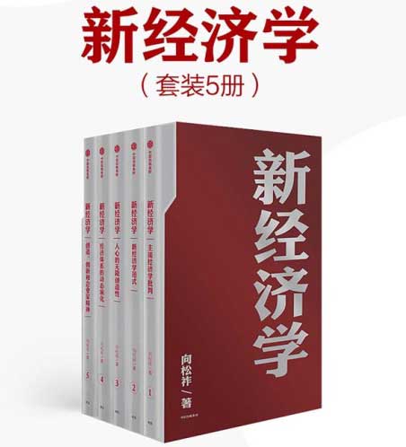 新经济学（套装5册）-电子书公社