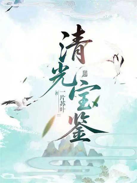 清光宝鉴-电子书公社