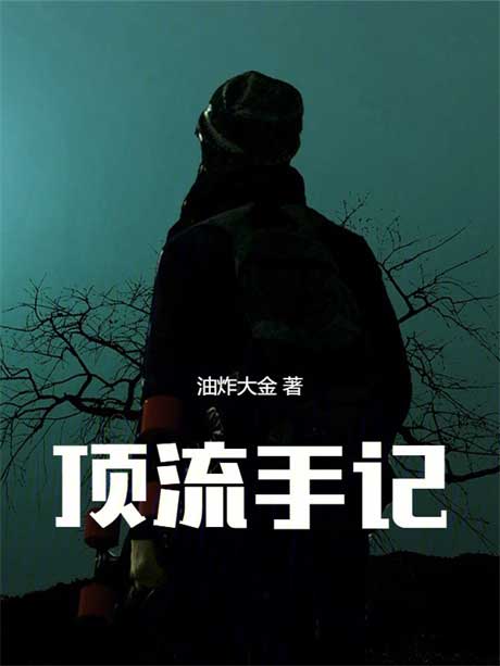 顶流手记-电子书公社
